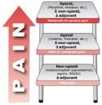 Thuốc chống viêm không steroids là một thuốc quan trọng ban đầu trong bậc thang giảm đau của Tổ chức Y tế Thế giới. Ảnh: Uptodate