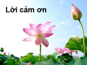 Thư khen gửi Khoa Y học cổ truyền