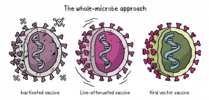 Tìm hiểu các loại vắc xin COVID-19