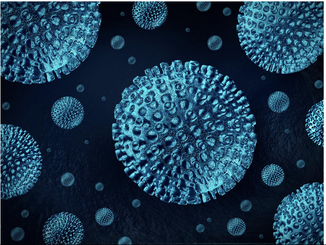 Những “vũ khí” phòng ngừa ung thư hữu hiệu