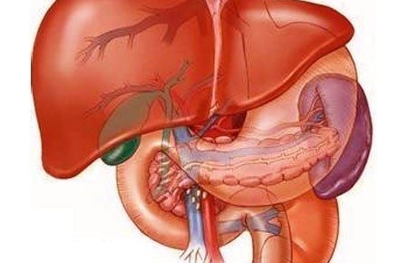 Gan nhiễm mỡ, tránh ăn gì?