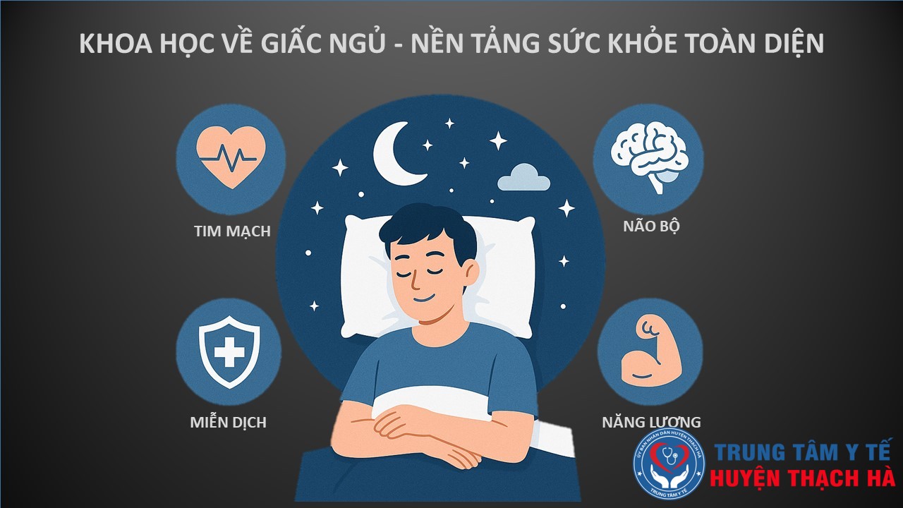 Khoa học về giấc ngủ - Nền tảng sức khoẻ toàn diện