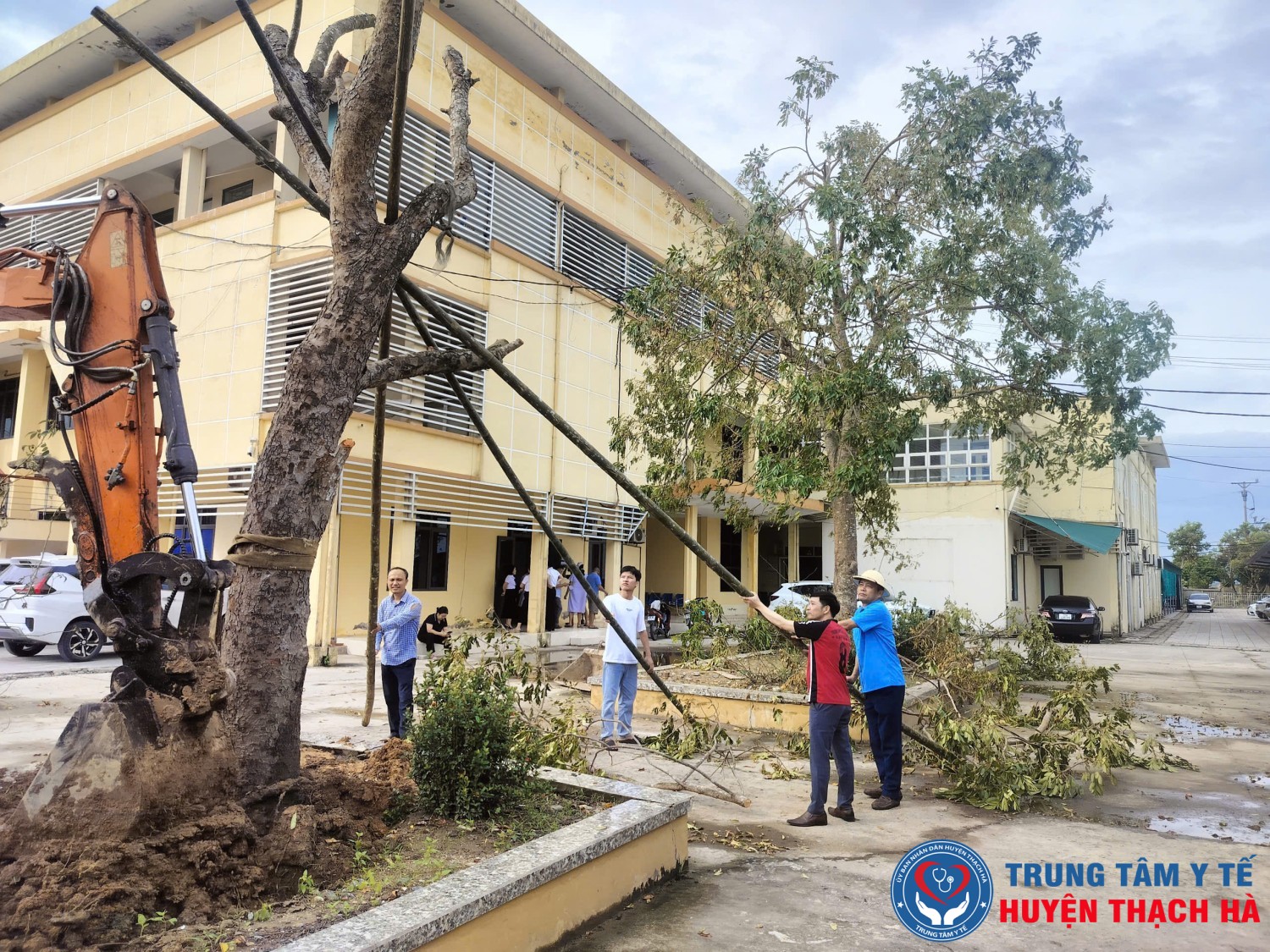 Đoàn viên công đoàn Trung tâm Y tế Thạch Hà chằng chống, dựng lại cây xanh bị bão quật ngã, khôi phục cảnh quan đơn vị.